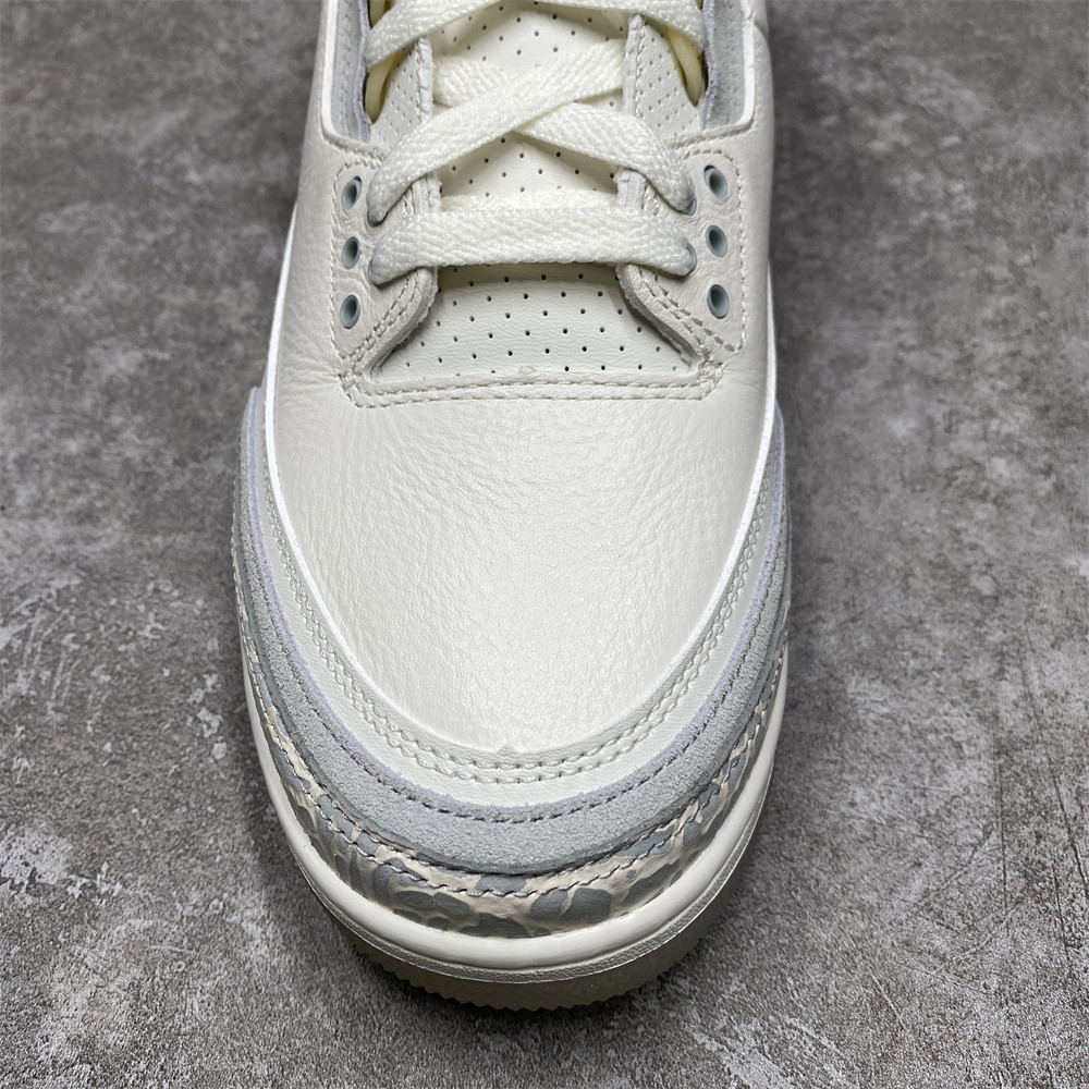 AIR JORDAN 3 RETRO SE 